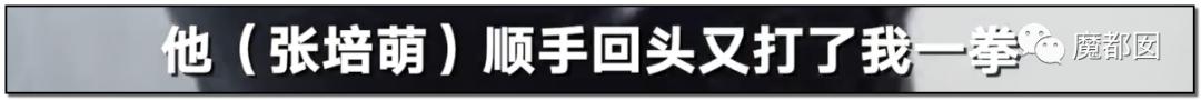 短跑名将张培萌家暴事件,短跑名将张培萌被控家暴