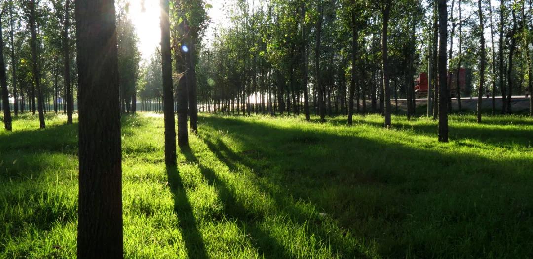 恒大城衡水,衡水市恒大城位置