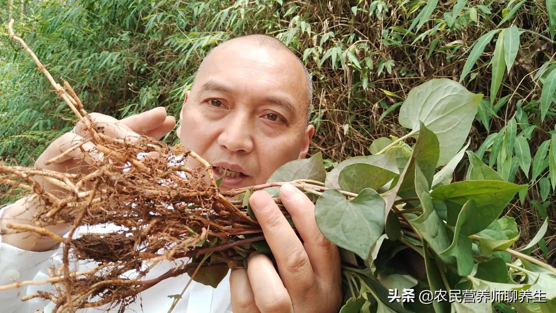 鱼腥草煮水洗澡能治湿疹吗,鱼腥草泡水洗澡可以给婴儿洗吗