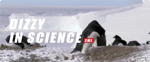 动物冬天为什么不冻脚,动物为什么能抵御寒冷