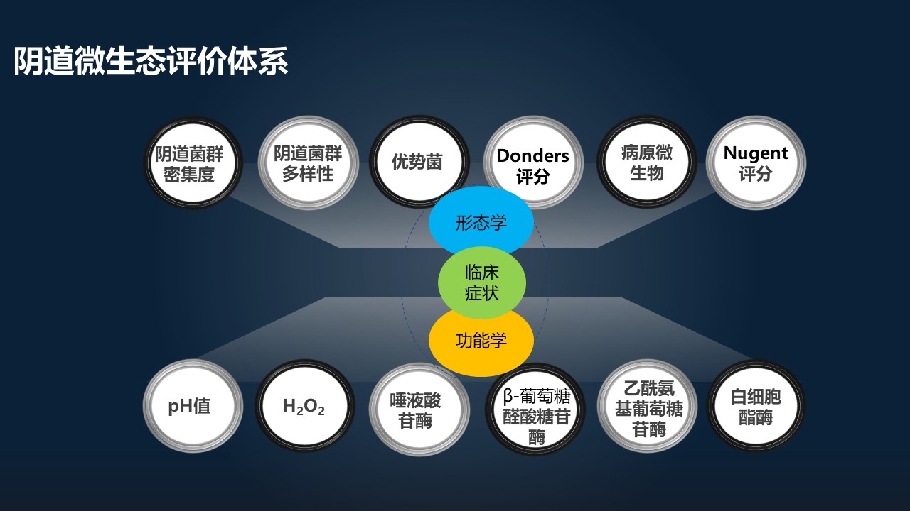 肖冰冰的小视频,肖冰冰讲的12生肖