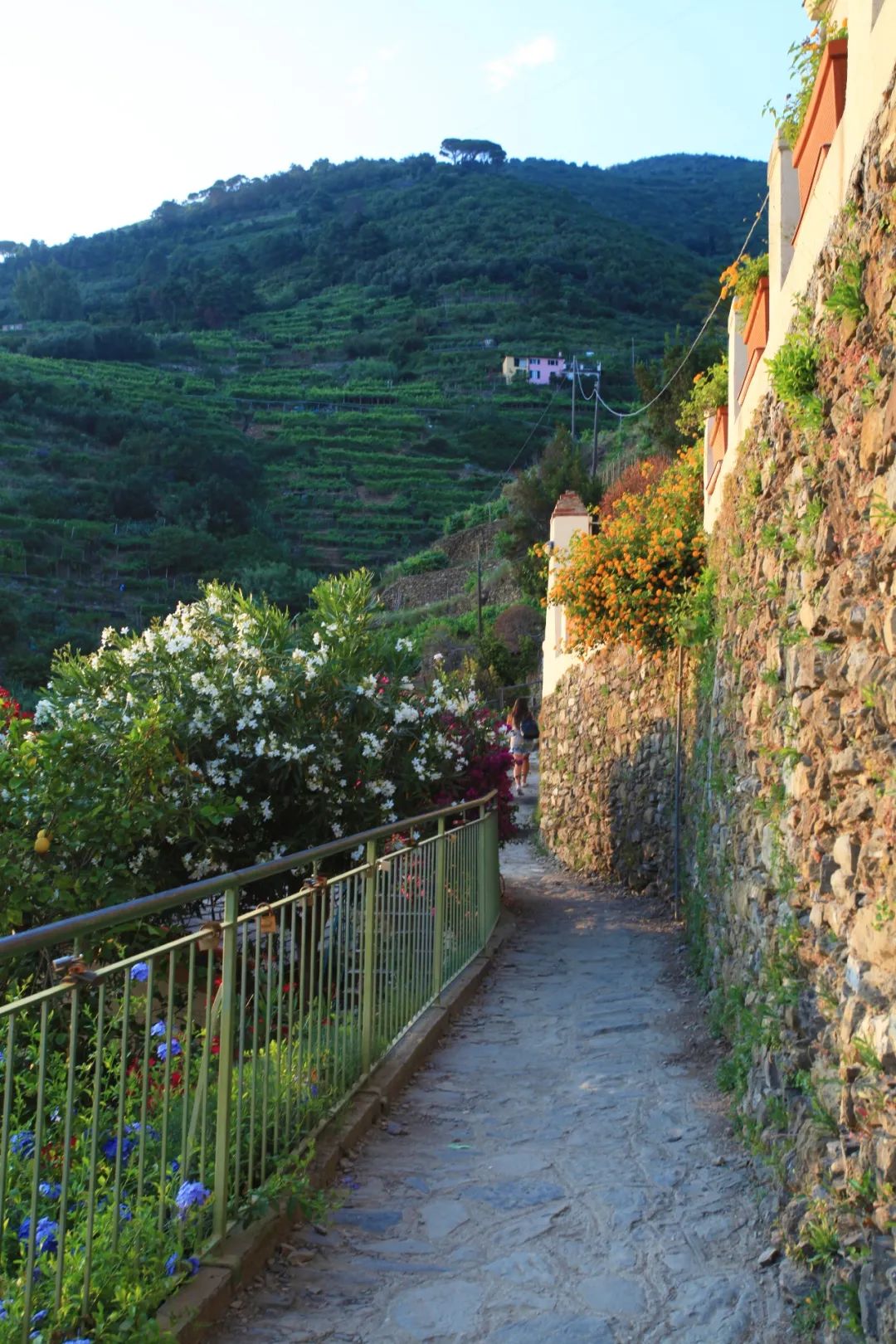 意大利五渔村蒙泰罗索,意大利五渔村全景