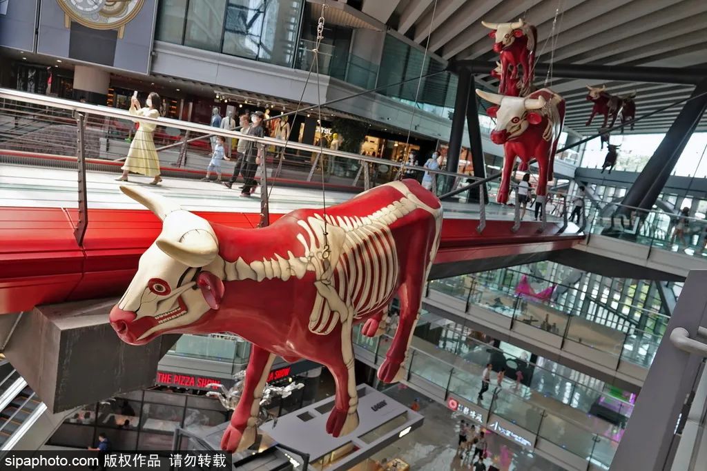 一个地铁站三条线,地铁边的吃喝玩乐