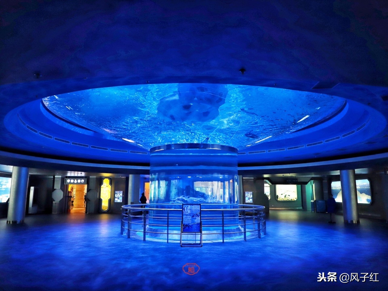 上海新地标丨海昌海洋公园一日游园玩法攻略