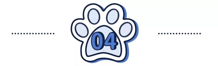 猫狗必备的药,收藏必备药品