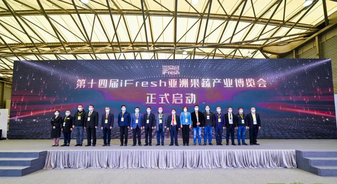 上海亚果会富平苹果,上海11月8日-10日亚果会水果展