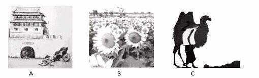 2021年第一阶段测试卷语文,2023-2024学年度第一学期联盟试卷