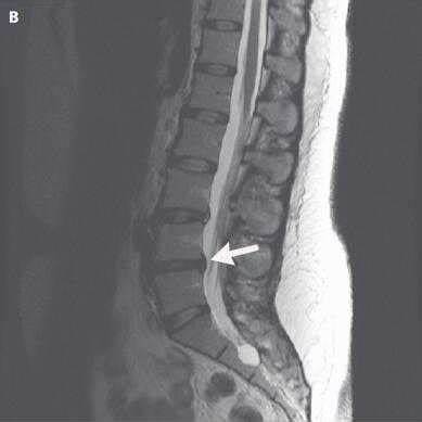 治病只要“头痛医头，脚痛医脚”就可以？这是真的吗？