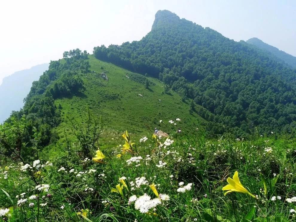 吃在驼梁，体验舌尖上的味道/郝贵云