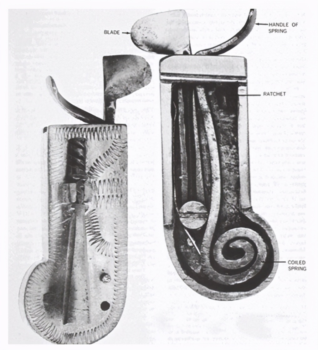 近代欧洲人曾将水蛭放入体内吸血——来治疗各种疾病