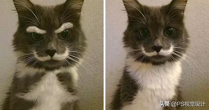 最漂亮的点赞图片大全,这些点赞过万的图片