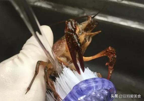 虾黄怎么煮才会一块块的,虾黄怎么加工好吃好看