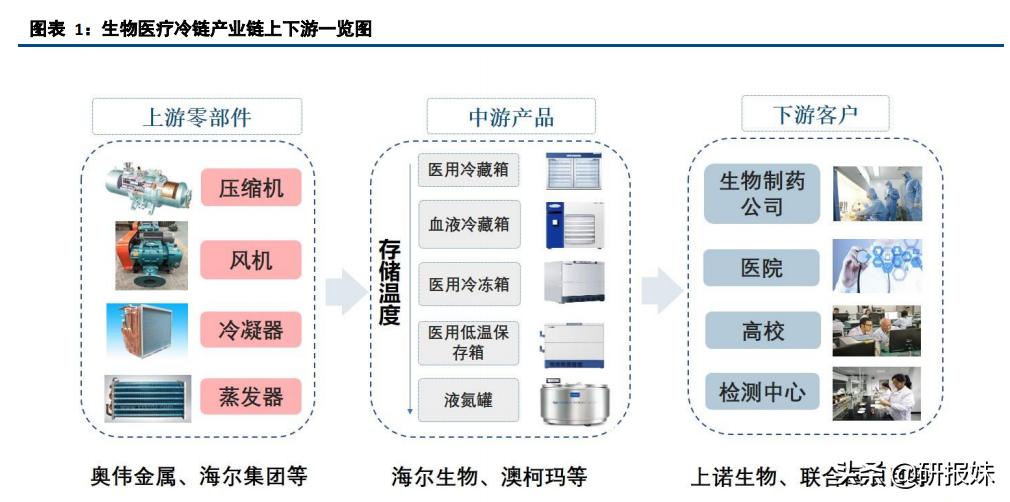 冷链物流股票最新分析,冷链物流大基建