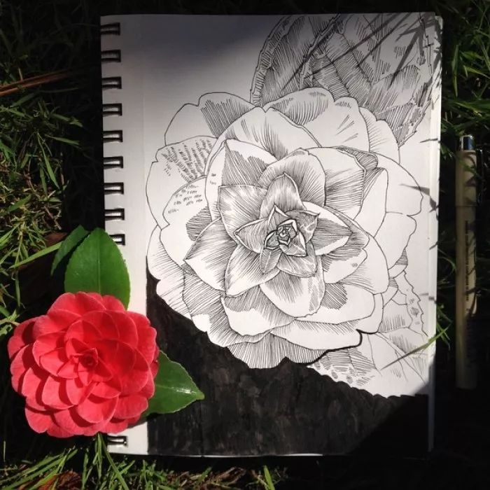 简单针管笔手绘花,简单易学针管笔手绘