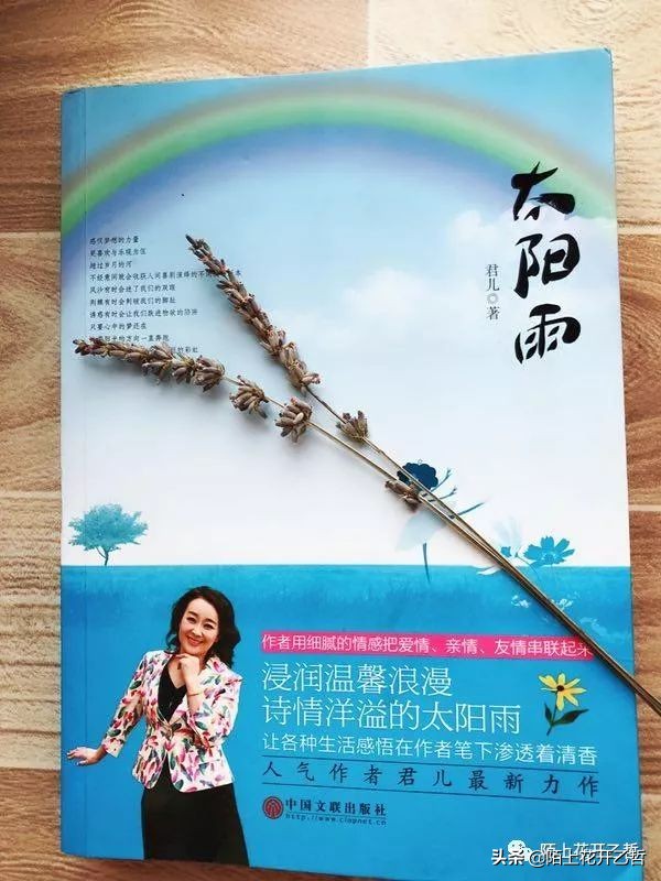 云中谁寄锦书来周悦,云中谁寄锦书来沈鱼