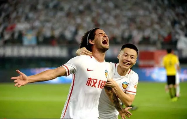 养猫包包,养猫保健药