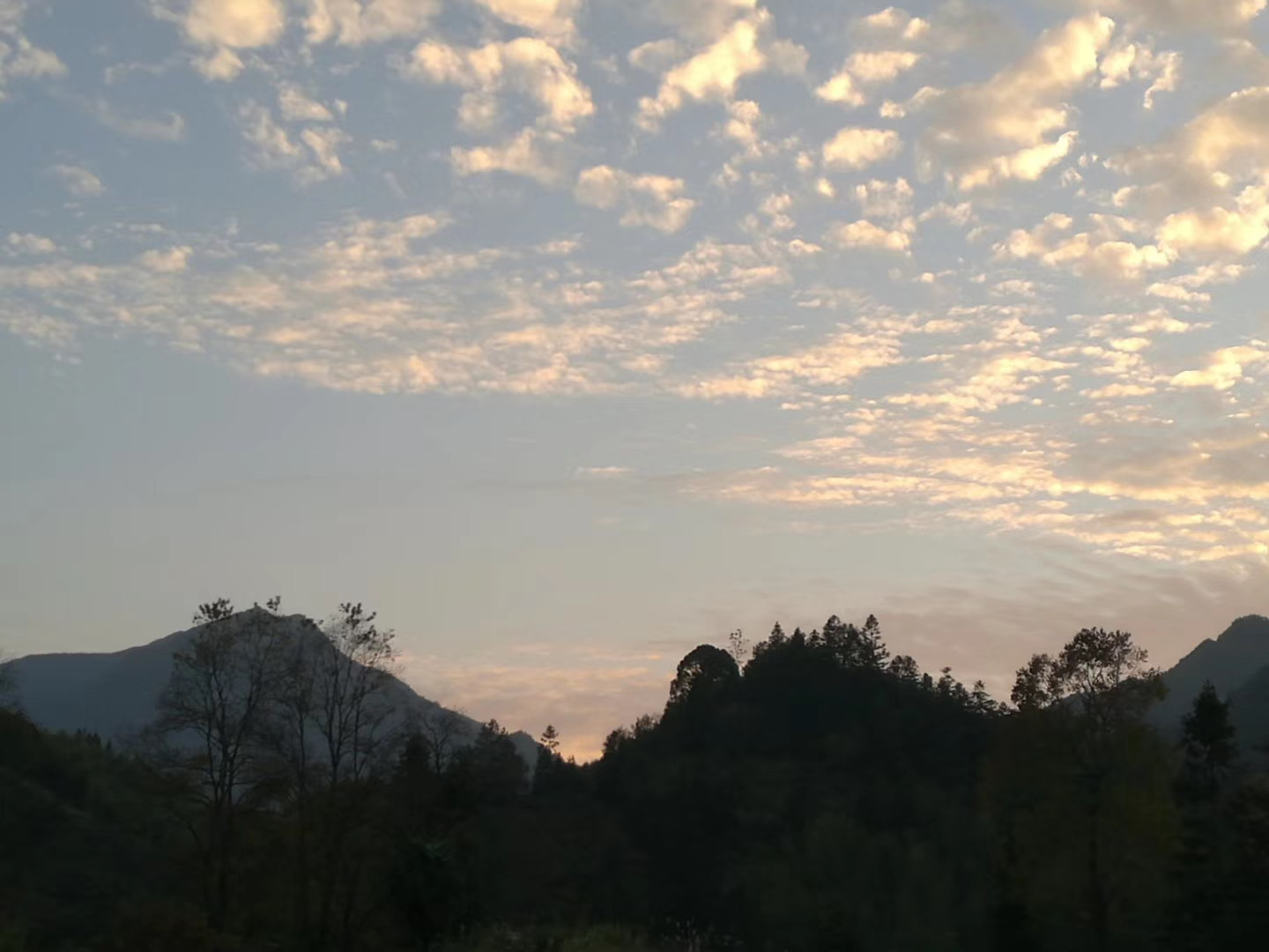 2024年驻村日记100篇简短感悟,驻村工作日记40篇200字春节前