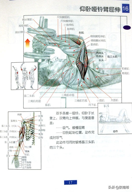 男士健身的进阶之路,男士运动健身全攻略