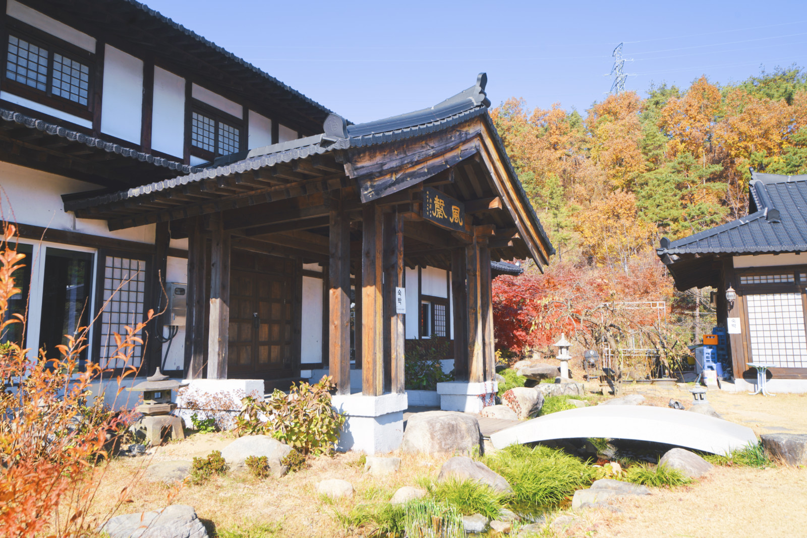 哇，人参随便挖！韩国还能这么玩