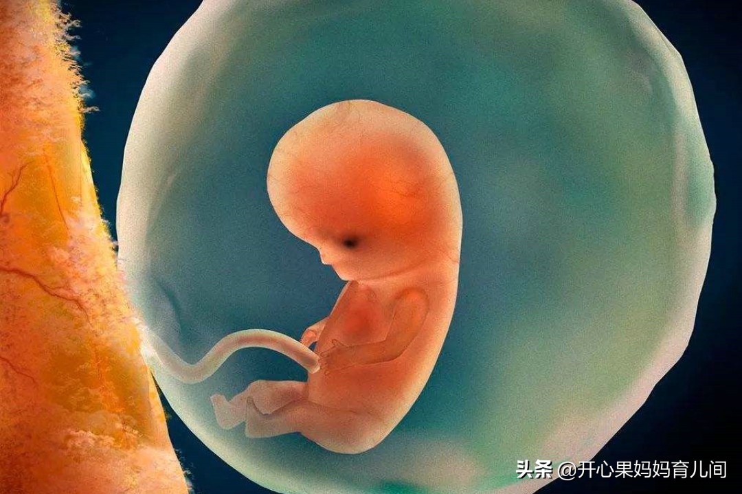 孕四个月如何自检胎儿健康,孕期4到6个月需要注意什么