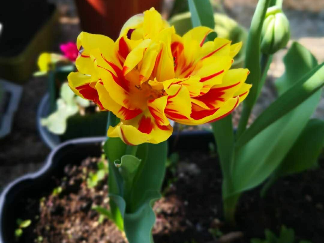 世间哪有什么鬼？见了鬼的，不过是心里有愧!