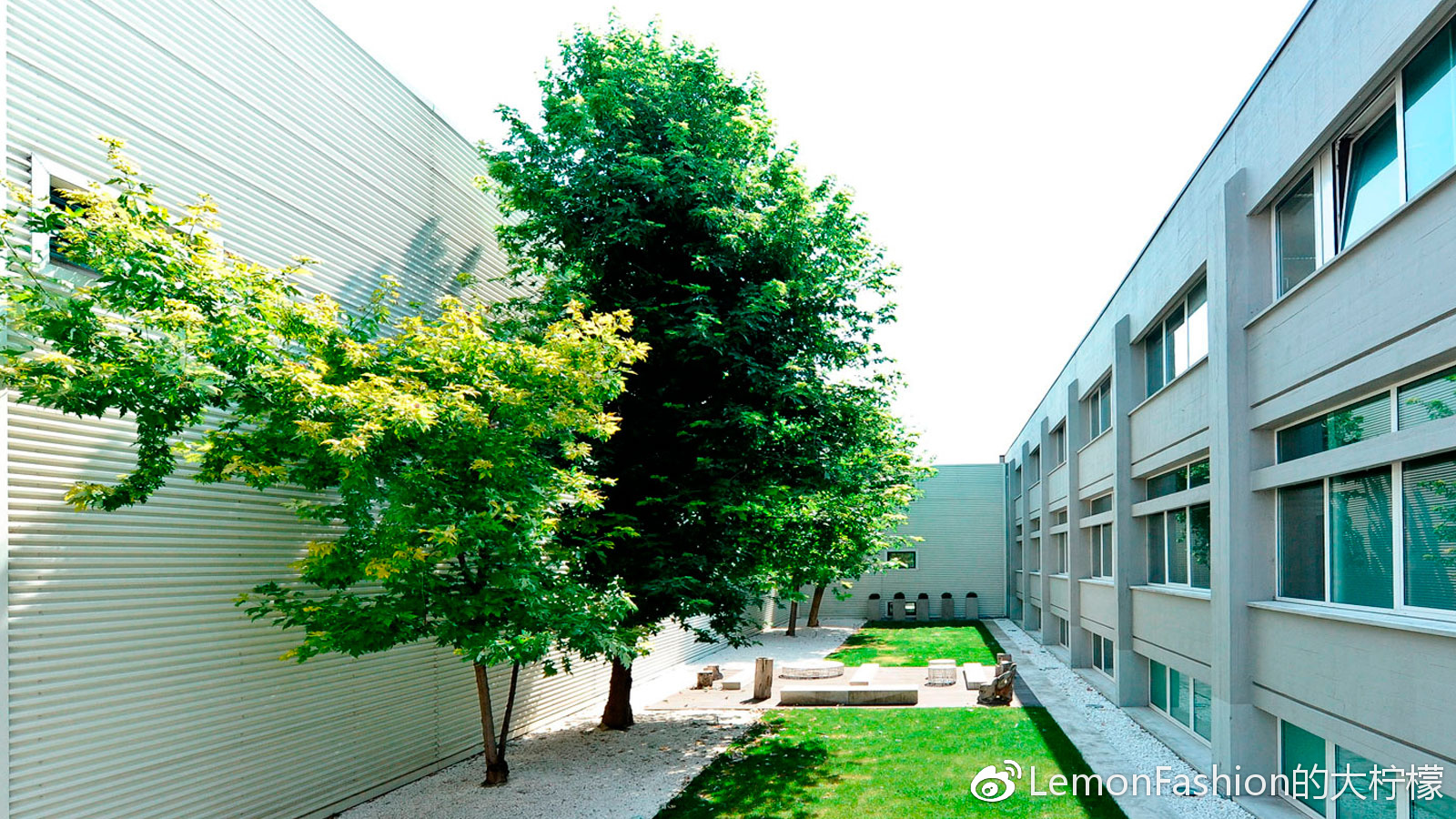 EF：名媛、女星、女高管们的寻寻觅觅