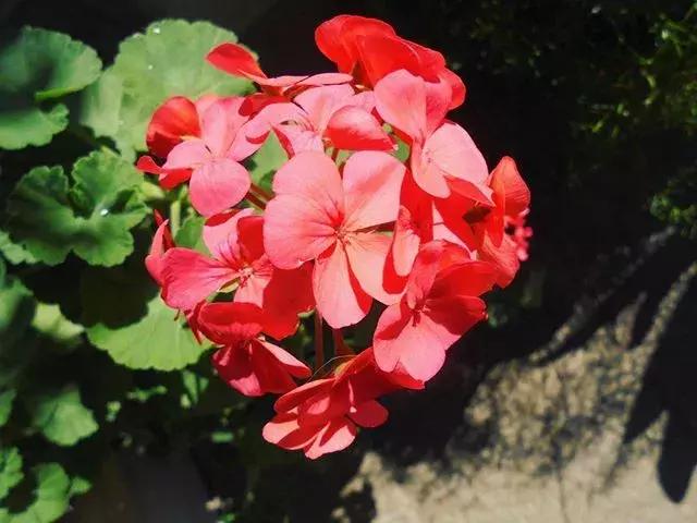 潘通色卡几月份出流行色,潘通色卡2020电子版色号对照表