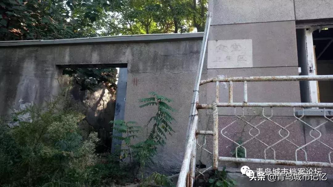 青岛红葡萄酒简介,青岛葡萄酒发展史