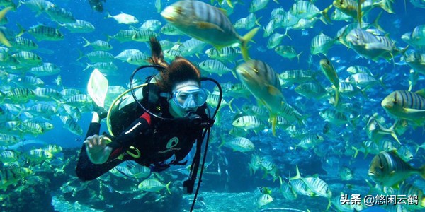 三亚十月份旅游攻略自由行带小孩,旅游海南三亚自由行攻略