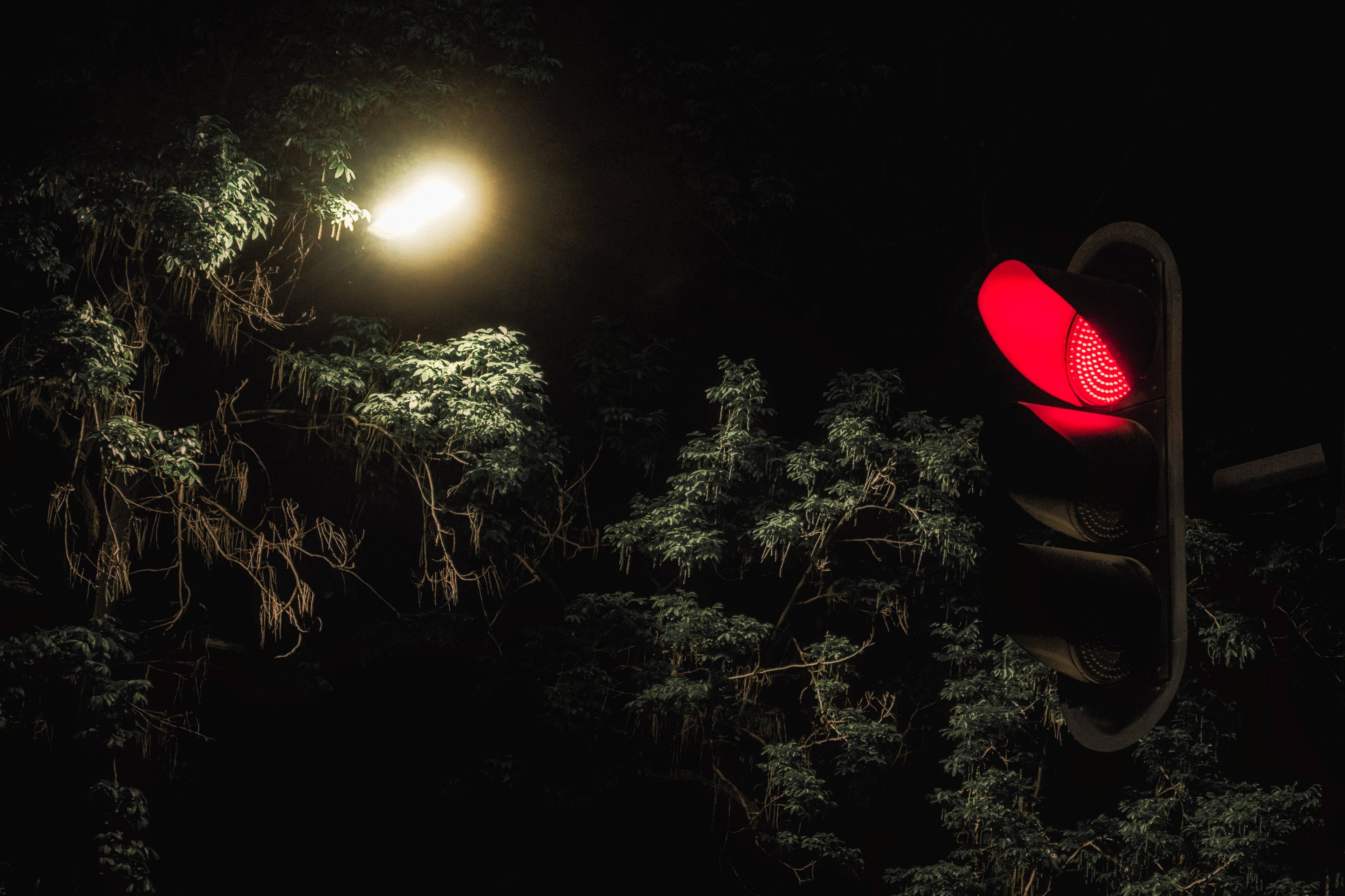 腾龙17-70卡姿兰大眼,腾龙17-50f2.8尼康版评测