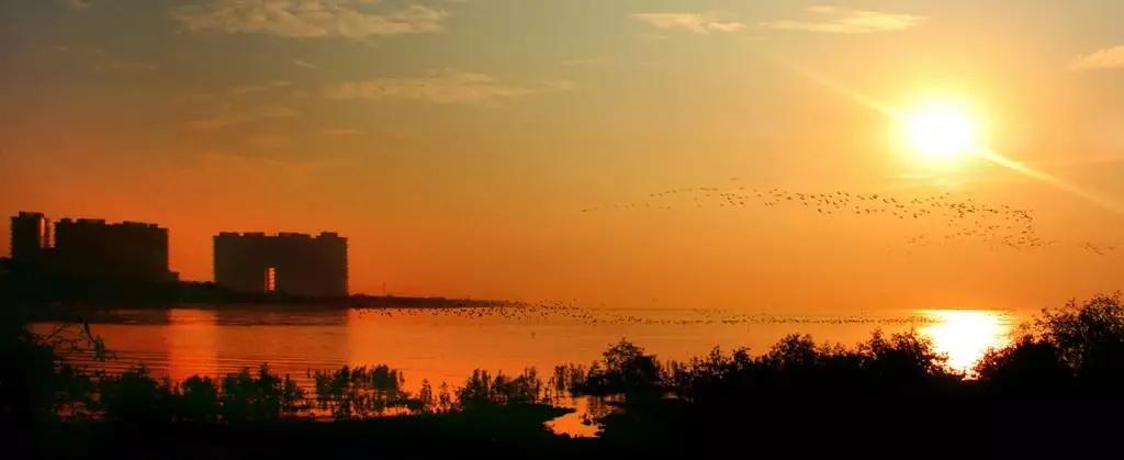 前海和后海未来哪个发展潜力好,后海前海能连一线吗