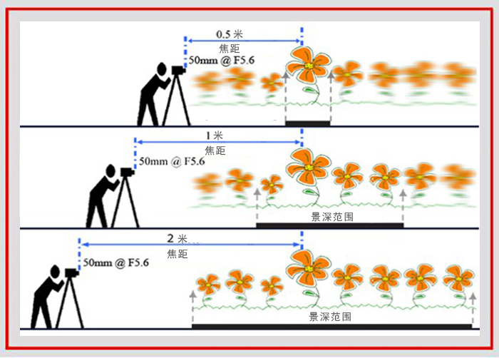 拍摄花卉的景深有哪些方法,如何运用和控制花卉摄影的景深