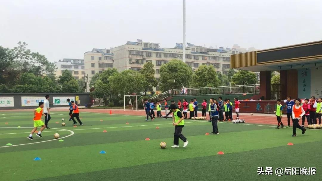 各地抗疫操作给我们的启示,岳阳抗疫演练