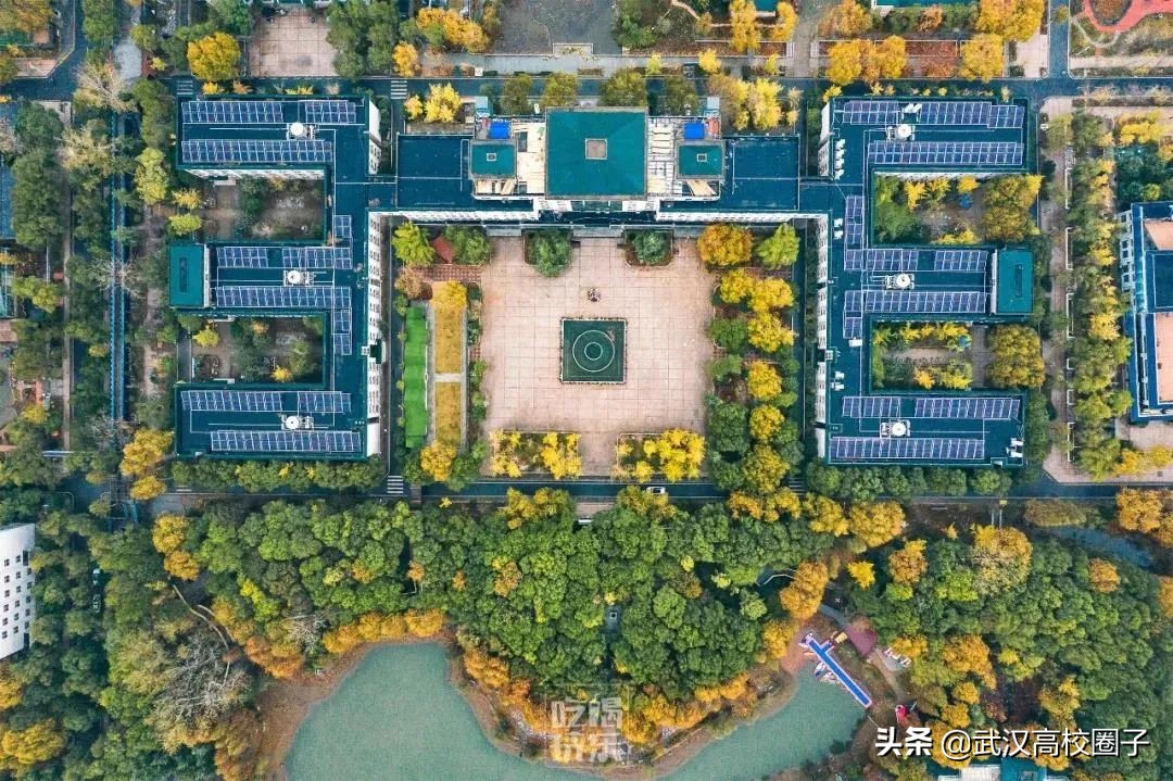 爸妈我想回家视频,爸妈我想回家了原视频