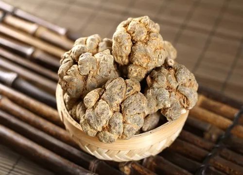 中医养生三七的药性讲解,医药小常识三七