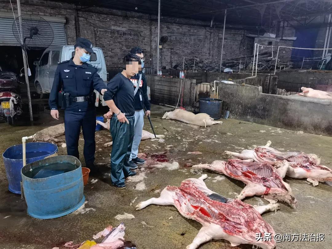 食话食说食品安全知识,食品安全必知