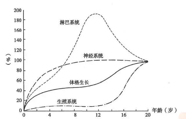 女孩进入青春期的正常年龄,女孩进入青春期的电影国外