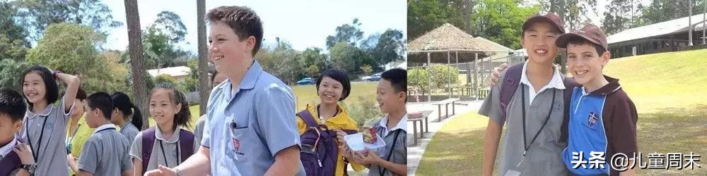 南山北大附中和北师大附中哪个好,北大附中深圳南山分校国际部排名