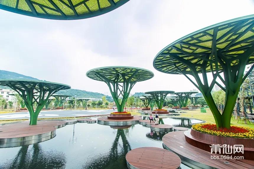 莆田市是评几线城市啊,莆田市属于三线城市