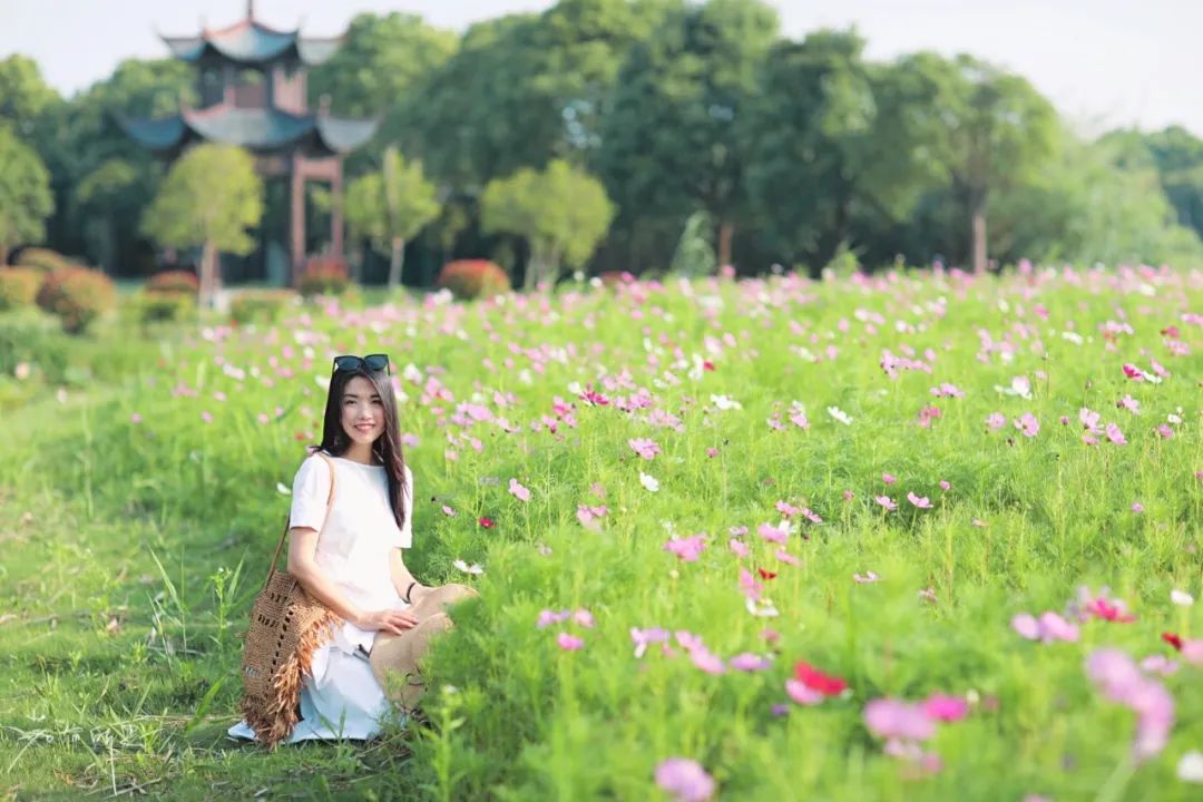 娌欏娴滅殑绱壊鑺辨捣,娌欏娴滈鏅尯鑺辨捣