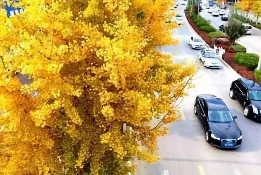 再回首看兰州发展再眺望看兰州进步