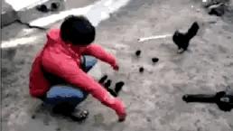 淘宝客的专业术语,淘宝客的终极秘密