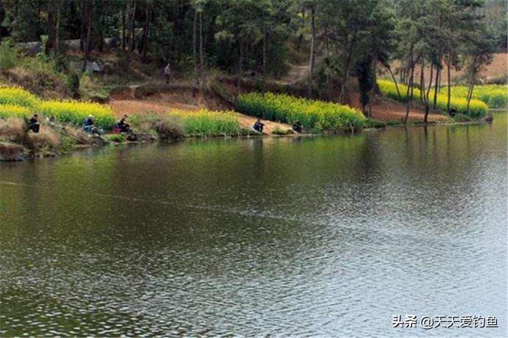 东风稳，南风暖，西风热，北风凉，什么风向最适合钓鱼，你知道吗