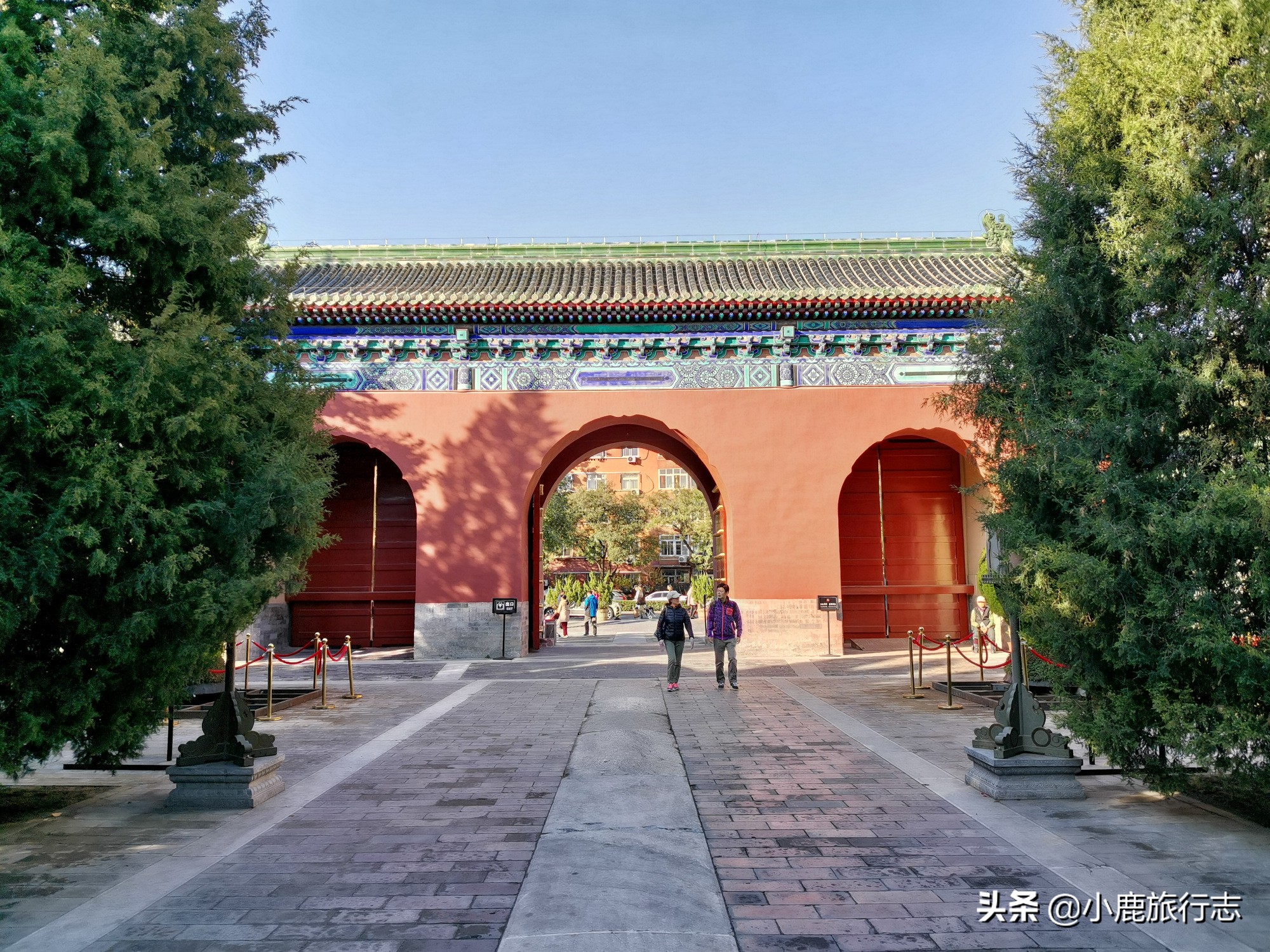 北京免费玩森林公园有哪些,北京森林公园一日游最佳攻略