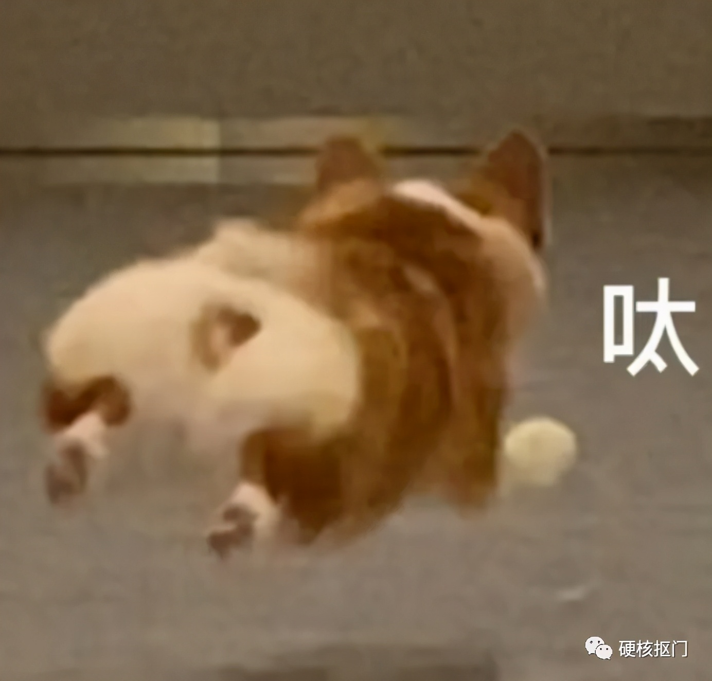 过期怎么了，用不完怎么了，换个用途又是好宝贝