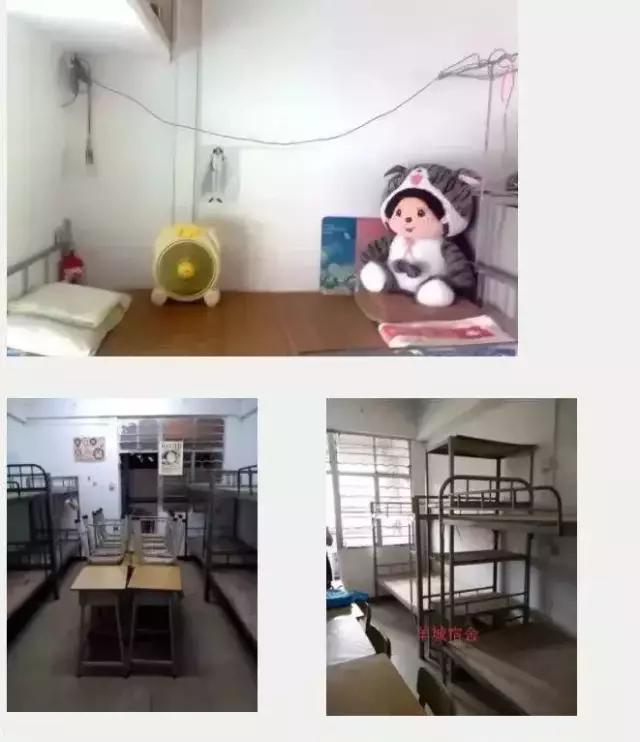 公办学校有哪些好宿舍,来看看各校的大学宿舍