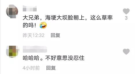 “屎到淋头”？嘴叼面包喂昆明海鸥大家最担心的事情发生了？