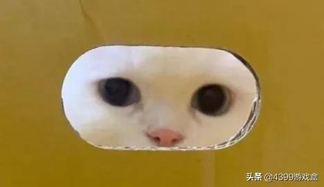 游戏里那些惊人的物理外挂,游戏的物理外挂有多离谱