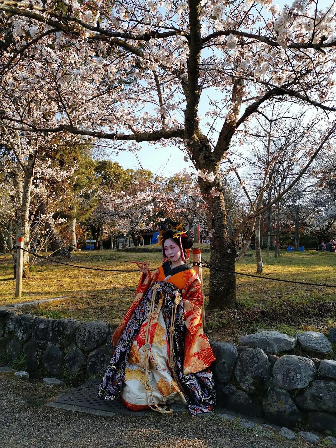 「慢达世界」第216期：短暂停留的京都生活，柊家的待客之道