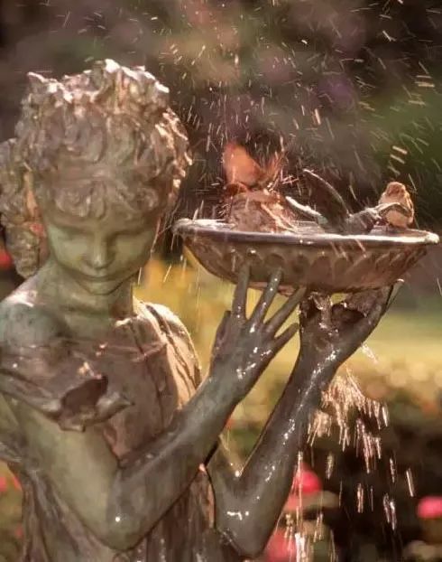 园子里的昆虫有多少,花园里的小动物哪些是昆虫